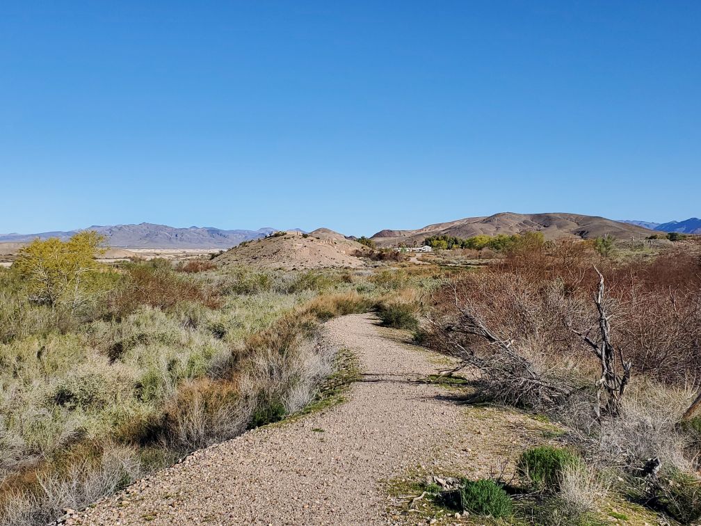 DT-180-2024-03-20 Desert Trail south of Tecopa