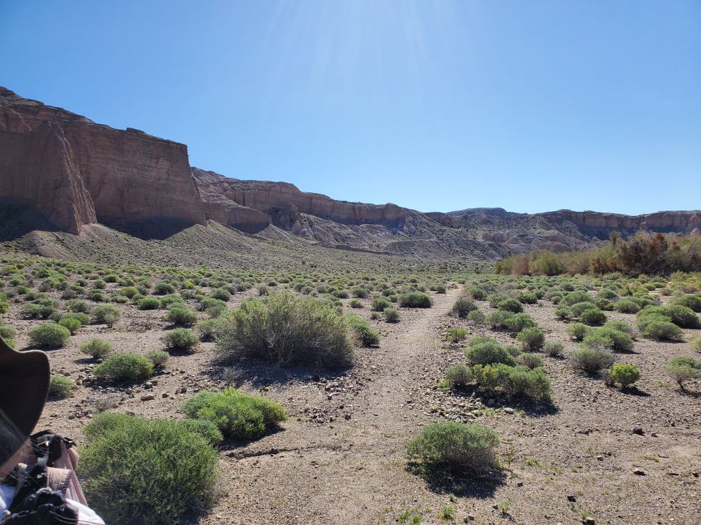 DT-194-2024-03-20 Desert Trail south of Tecopa