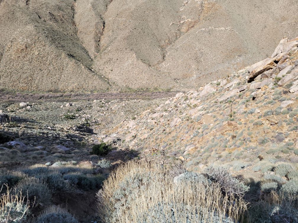 Looking down at Carrizo Gulch - Almost down