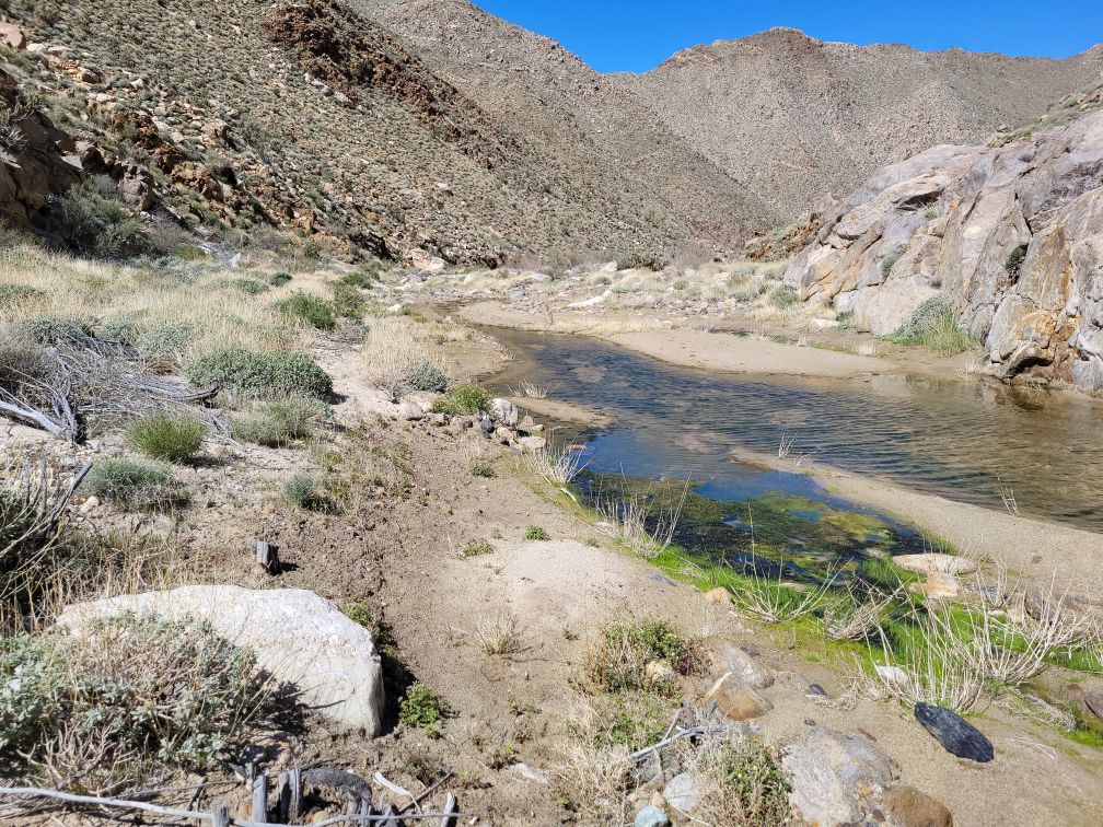 In Carrizo Gulch with creek