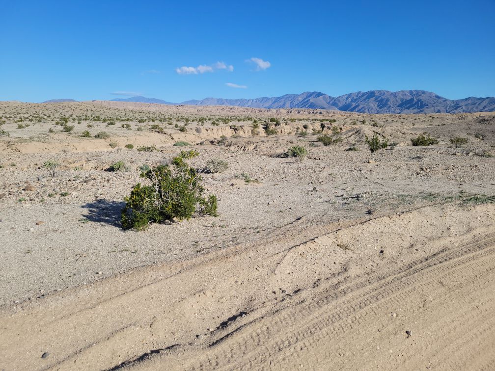 View from Trail