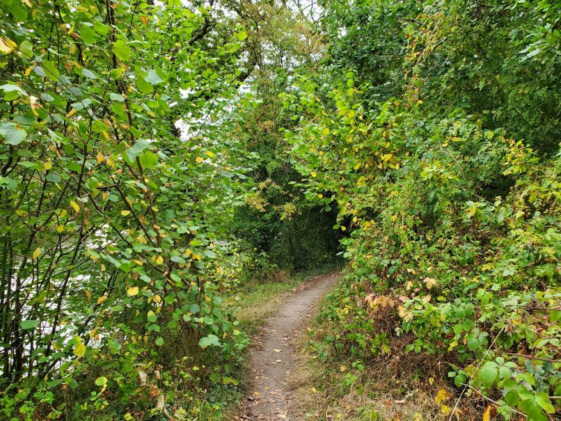 Covered path River walk