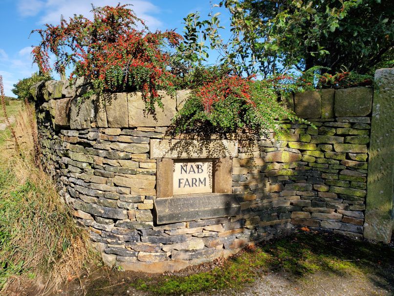 Beautiful stone wall