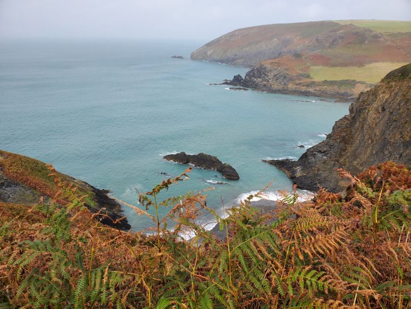 View from Cliffs of Pwllgwaelod