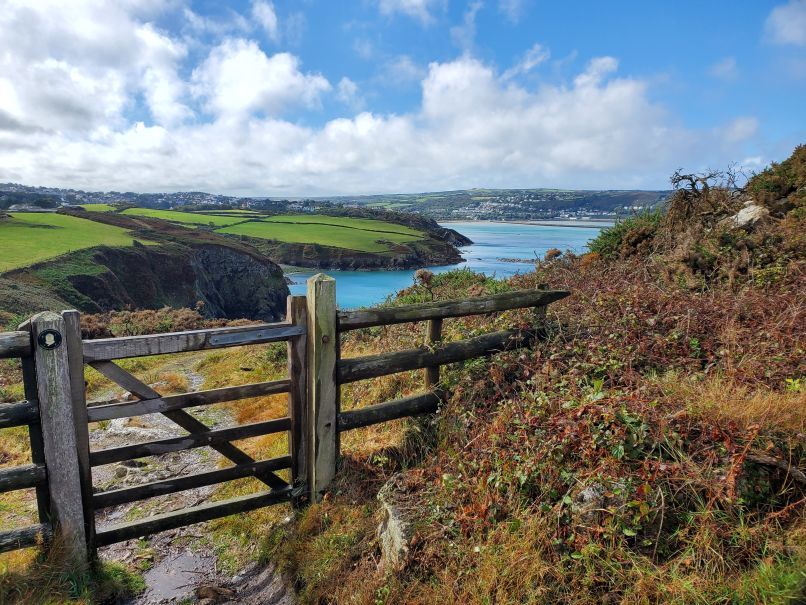 Gate w view of Fishguard in the distance