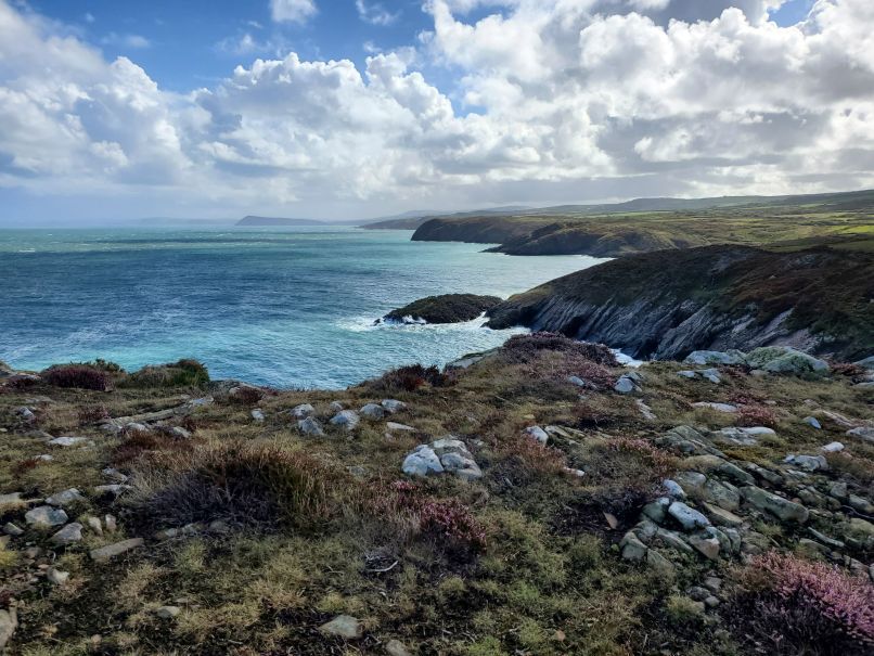 Looking back east on coast path