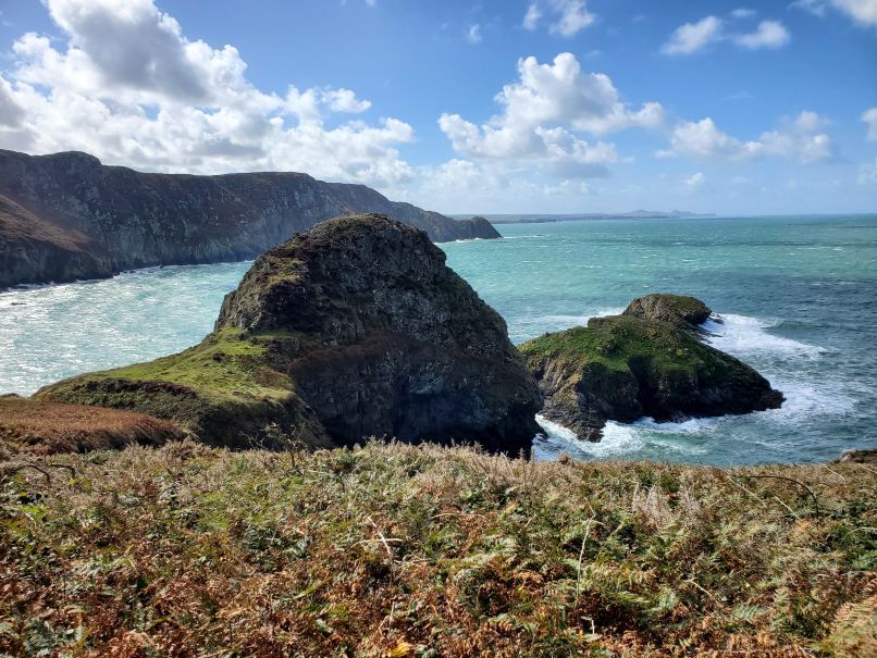 View by Pwll Deri