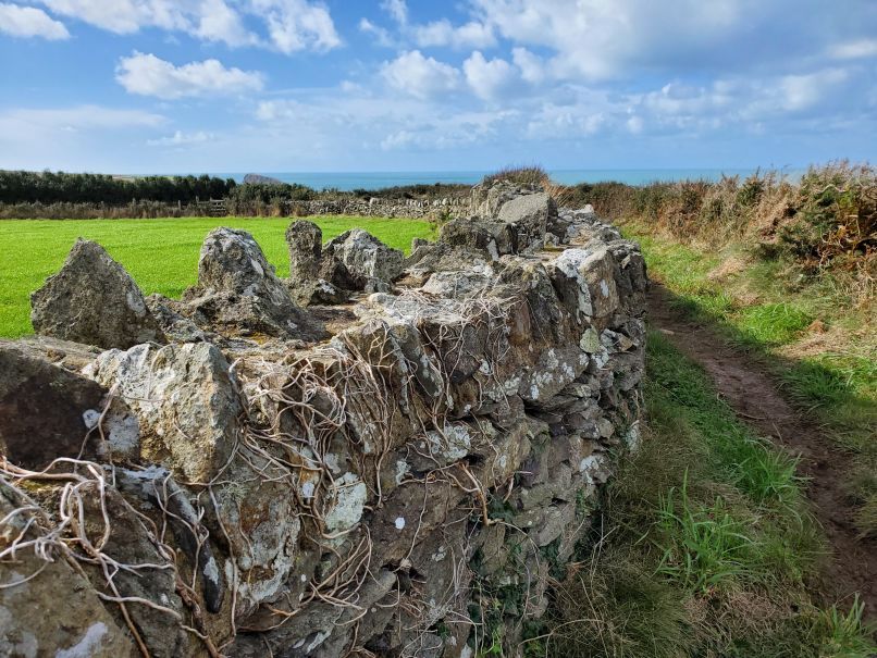 Stone Fence