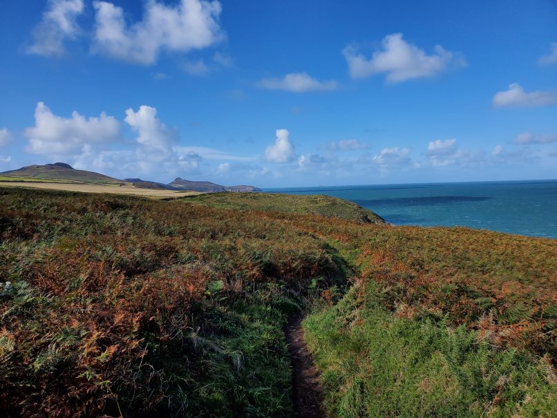 Coast view west