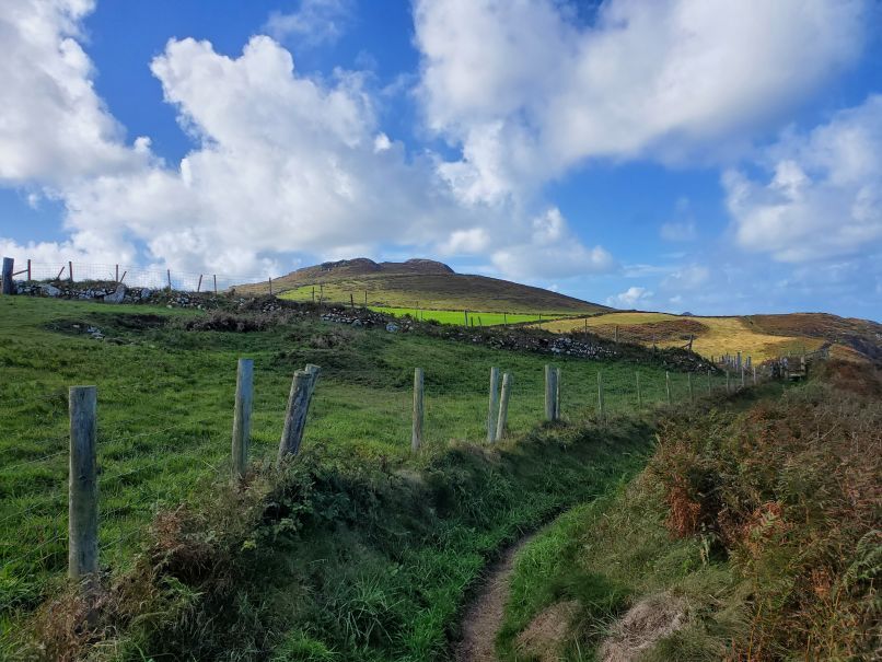Farm fencing Carn Penbery in distance 