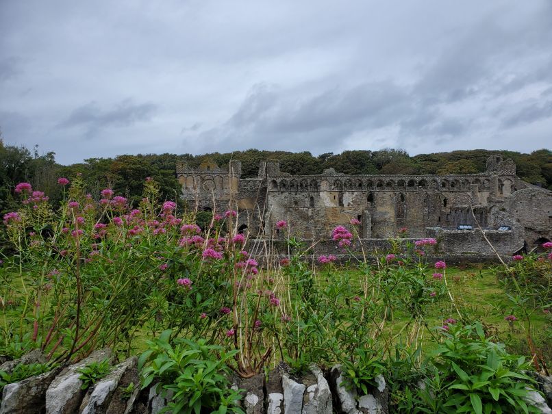 Bishops Palace w flowers St. Davids