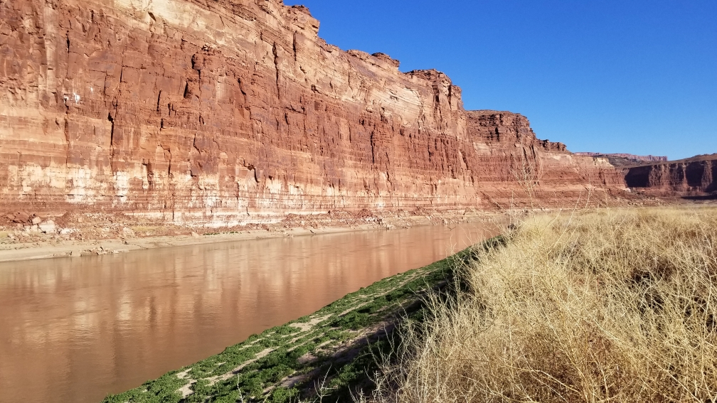 Colorado River @ Hite