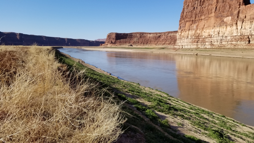 Colorado River @ Hite