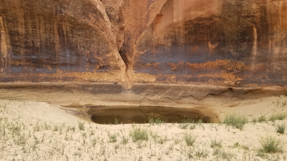 Pool at end of Canyon