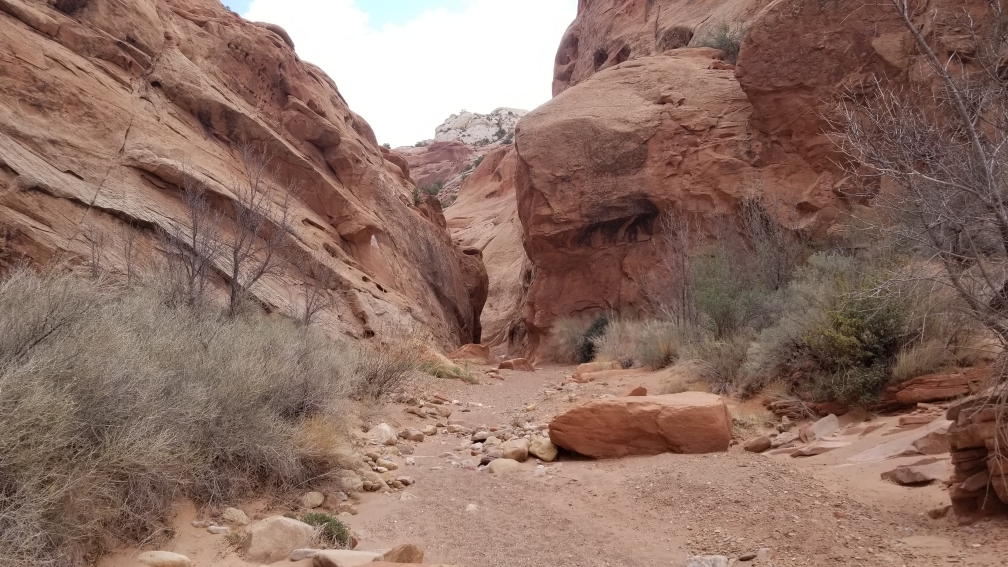 Muley Twist Canyon