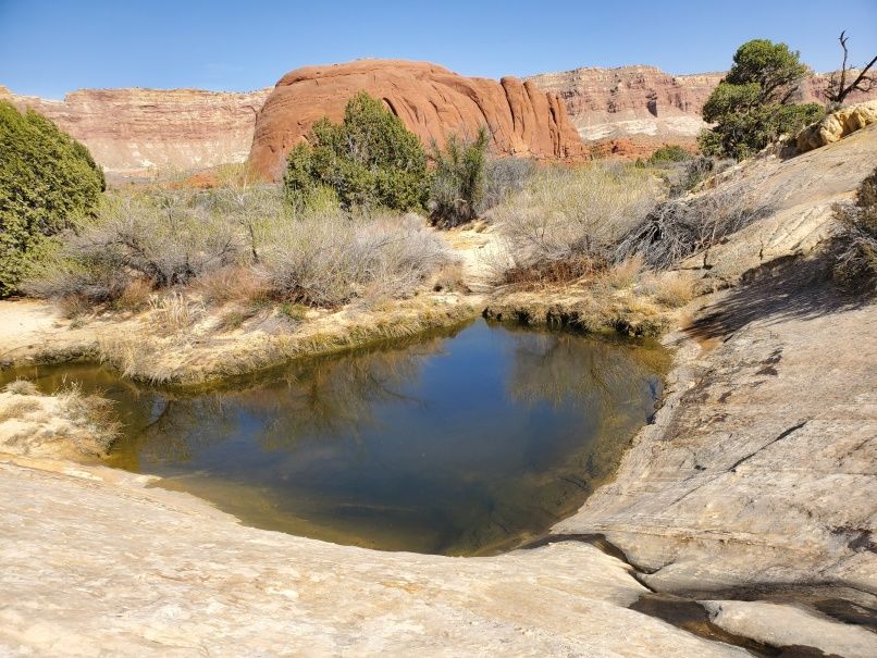 Lower Muley Tank