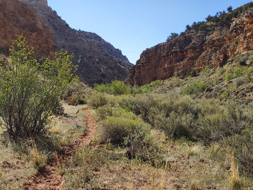 Cowpath in Buckskin Gulch
