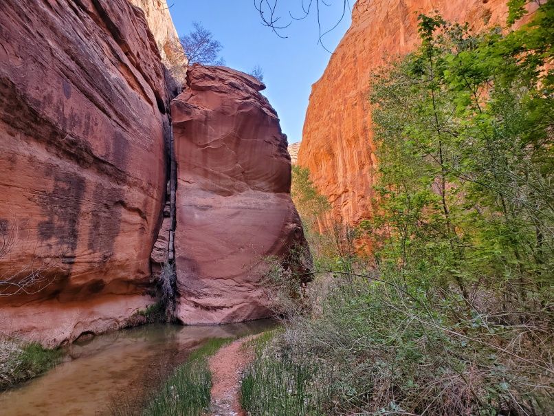 Creek and high walls Coyote Wash