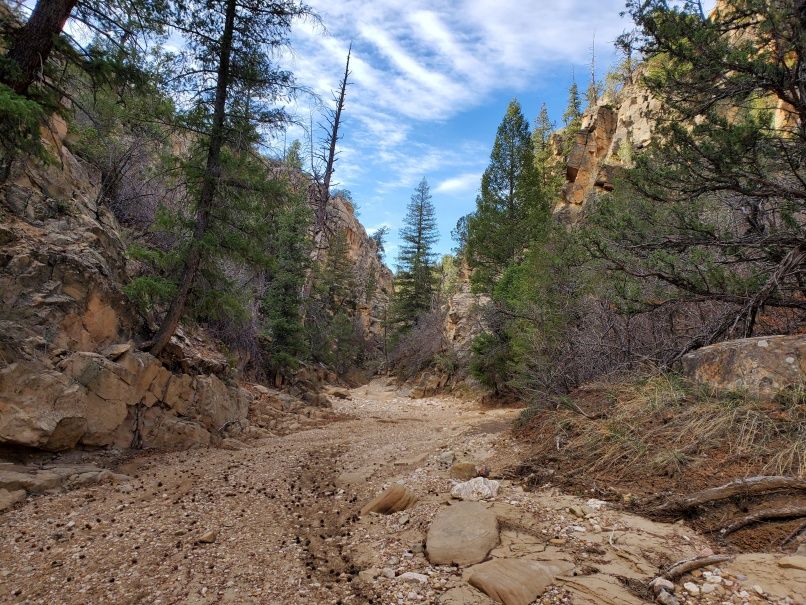 Winding in Bullrush Gorge