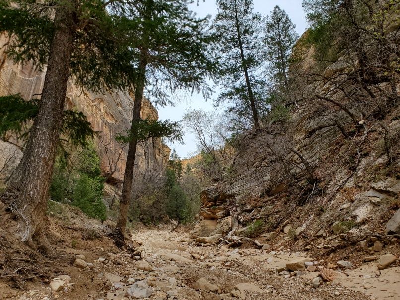 In Bullrush Gorge