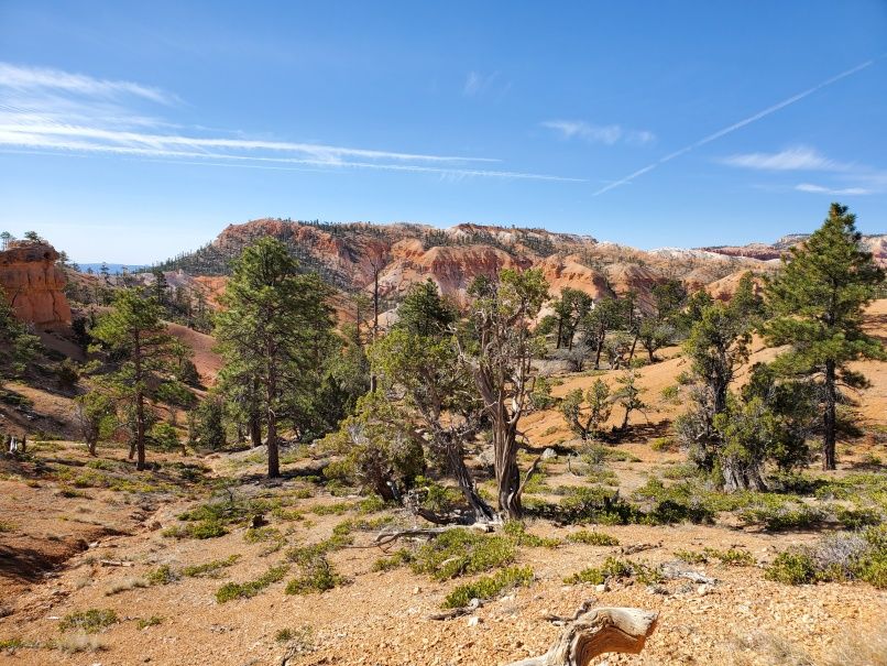 Fairyland Canyon