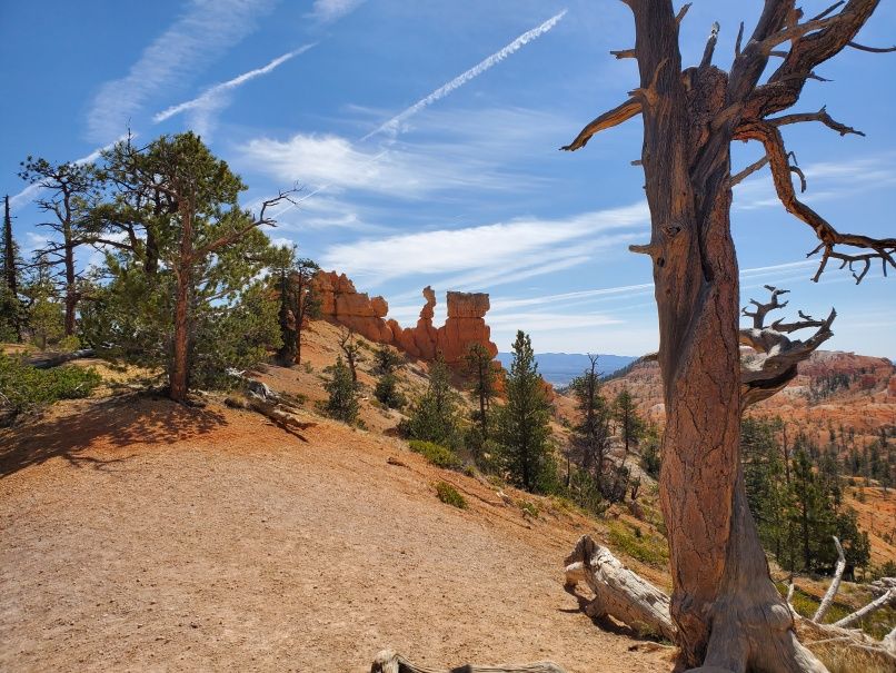 View w Spindly Rock