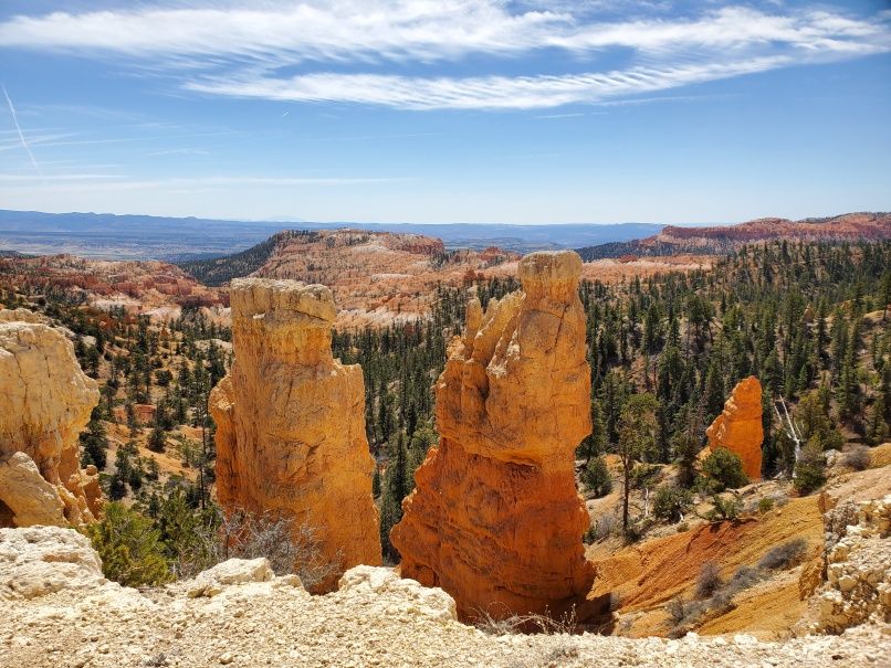 Hoodoos from Rim