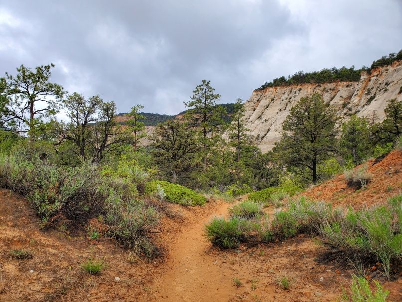 Nice view on trail Zion