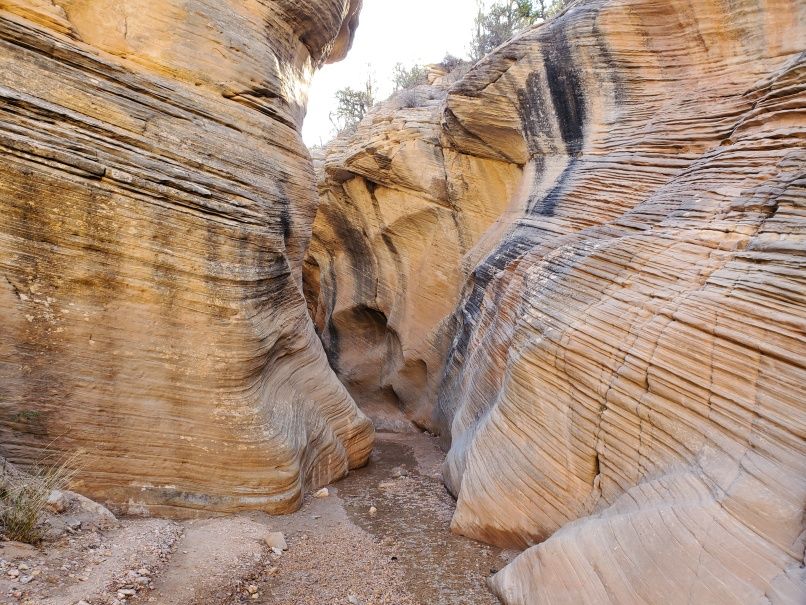 Willis Creek Narrows