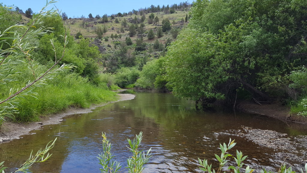 IBT-D-041-0610-No-Fork-of-the-Owyhee-River-1
