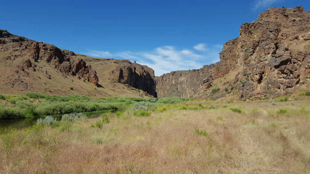 IBT-D-118-0611-Owyhee-River-at-Crutchers-Crossing-1