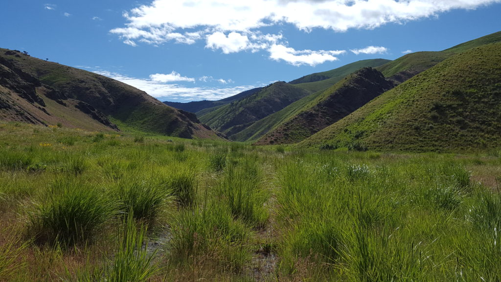 IBT-E-019-0616-Rattlesnake-Canyon-view-1