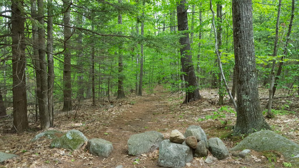 Monadnock-006-2017-06-03_Marlboro-Trail