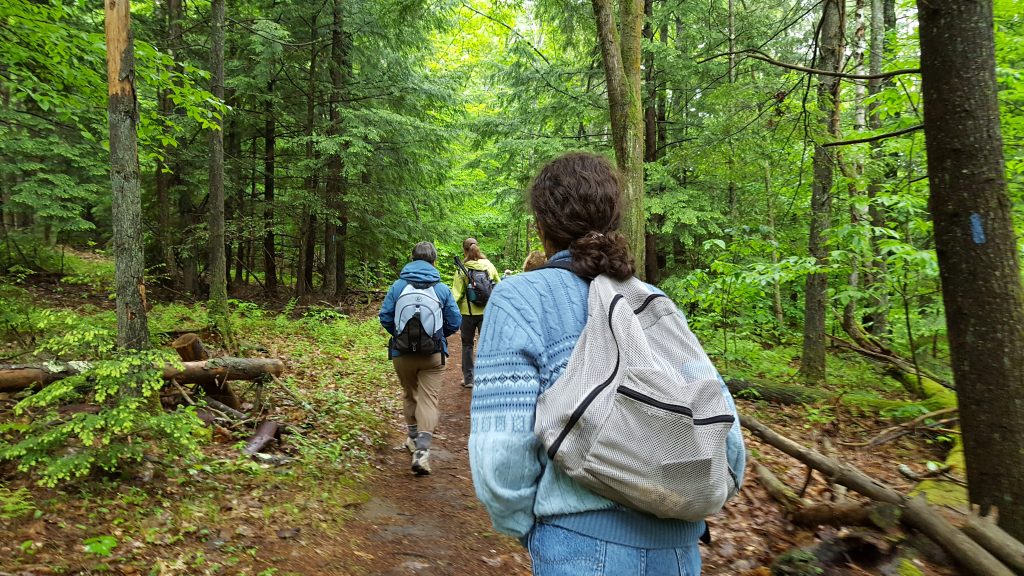 Monadnock-012-2017-06-05_Tippin-Rock-Trail2017-06-0505-06-17