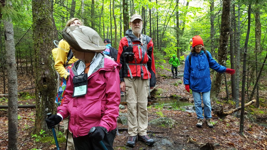 Monadnock-025-2017-06-05_Group-Monte-Rosa-Trail2017-06-0505-06-17