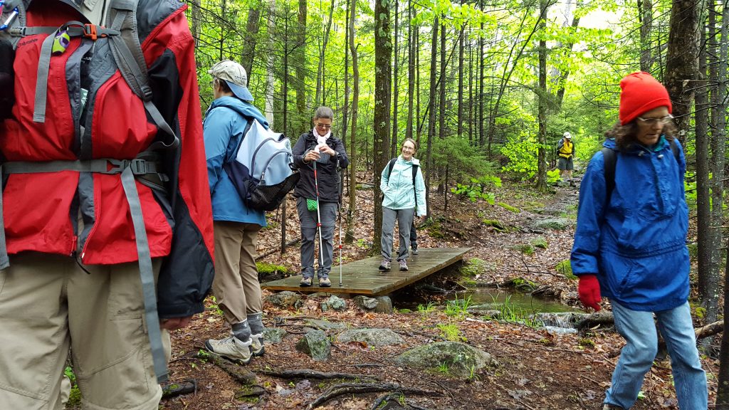 Monadnock-027-2017-06-05_MR-Trail-Group-Pic2017-06-0505-06-17