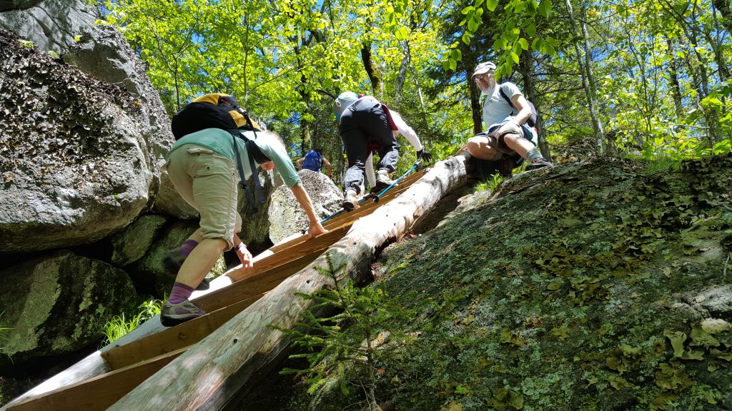 Monadnock-044-2017-06-07_Ladder-Cliff-Walk2017-06-0707-06-17