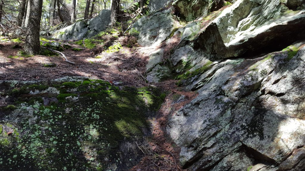 Monadnock-059-6-07_Old-Mine-Cliff-Walk07-06-17