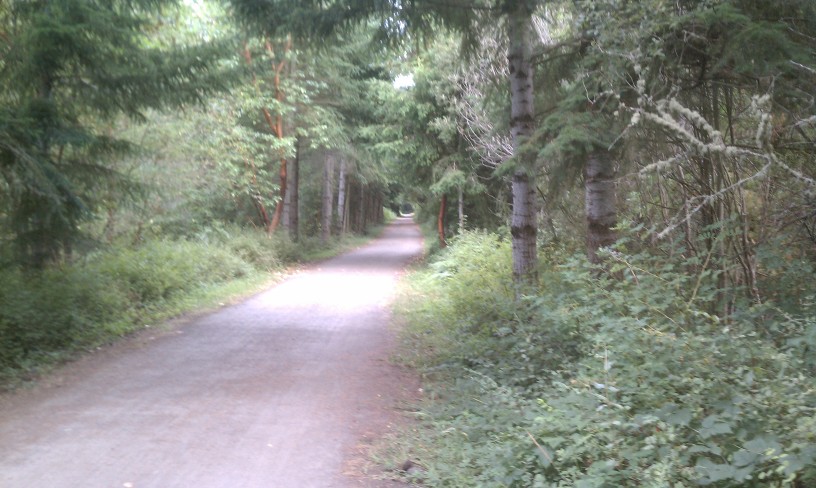 PNT-254-08-11-2011