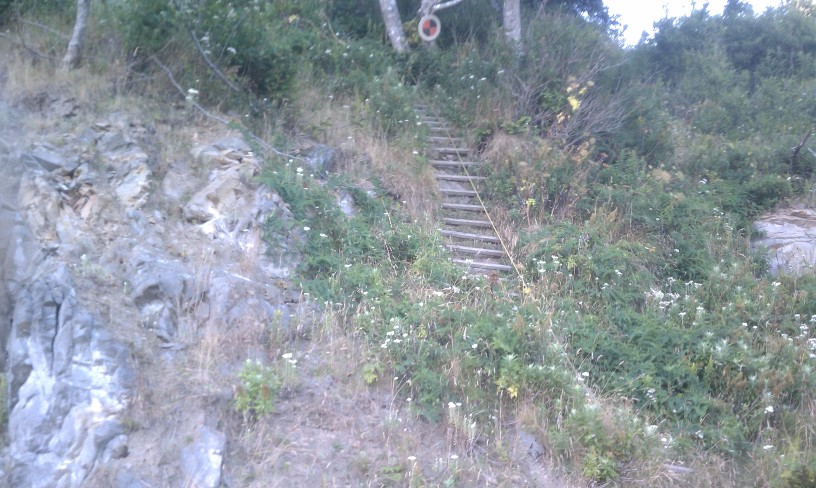 PNT-270-08-16-2011