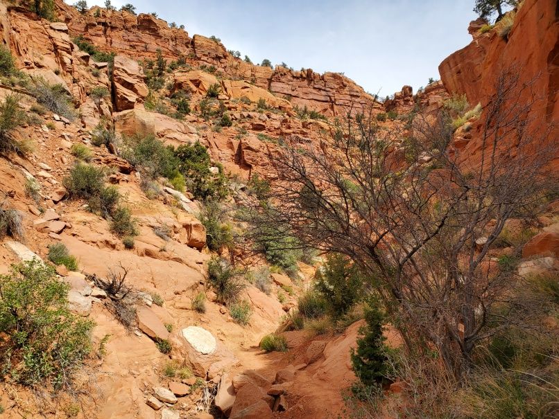 Squaw Trail up canyon