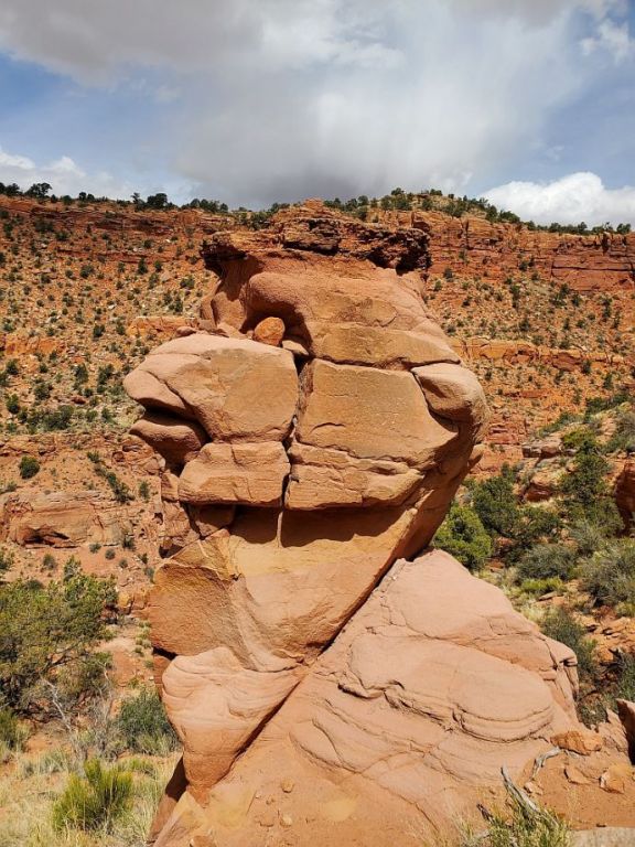 Chicken Rock